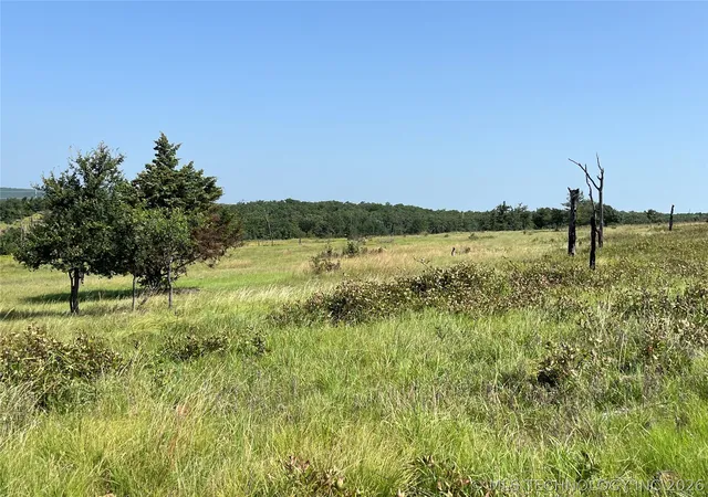 Homes for sale in Coalgate, OK | Bill Ward Rd, Coalgate, OK 74535 | MLS# 2624763