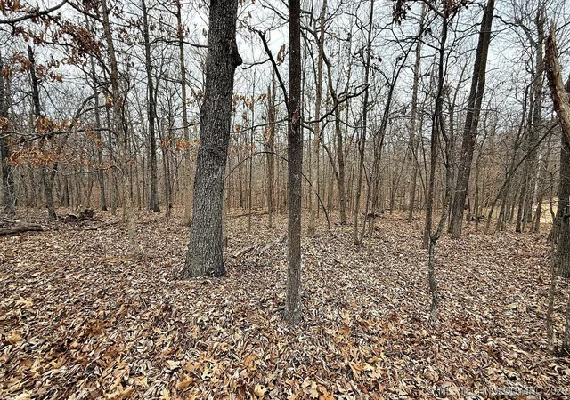 5th image of 23167 Flint Ridge Dr, Kansas, OK 74347 | MLS# 2624974