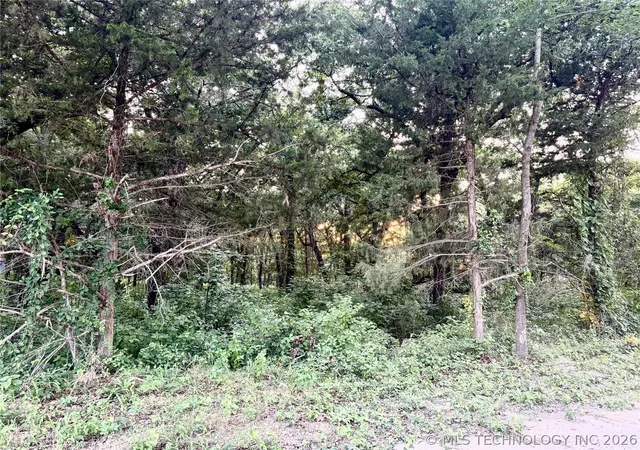 3rd image of 4837 Cobb Rd, Kingston, OK 73439 | MLS# 2625040