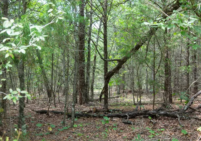 Photo 4 of Land for sale at 18 E 1147 Road, Eufaula, OK 74426 | MLS# 2625086 | Listing updated on 2026-07-12