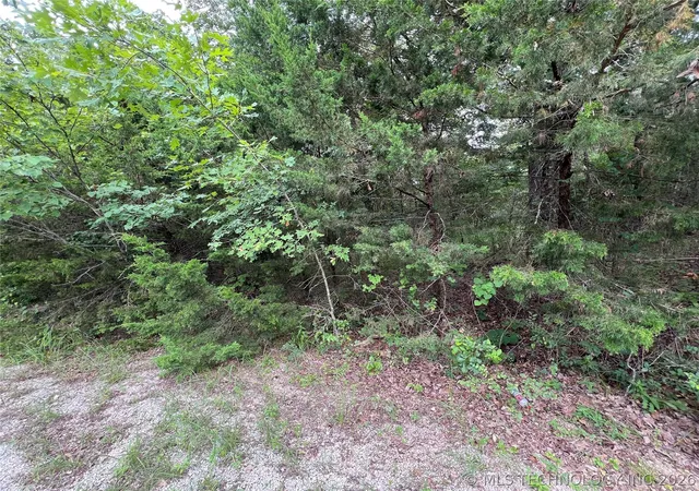 2nd image of 0 Hickory Ct, Kingston, OK 73439 | MLS# 2625240