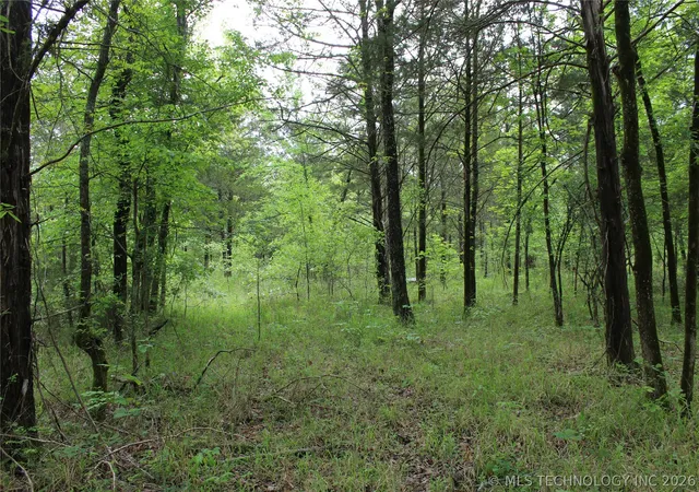Homes for sale in Wilburton, OK | Hwy 1, Wilburton, OK 74578 | MLS# 2625543