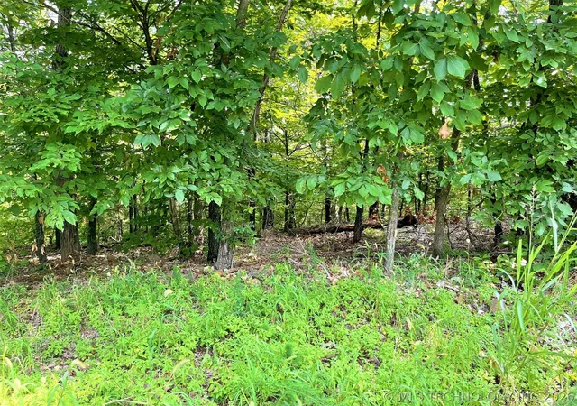 11th image of W Canyon Rock Rd, Park Hill, OK 74451 | MLS# 2625807