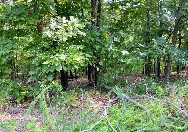 3rd image of W Canyon Rock Rd, Park Hill, OK 74451 | MLS# 2625807