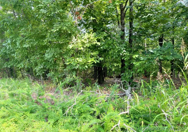 4th image of W Canyon Rock Rd, Park Hill, OK 74451 | MLS# 2625807