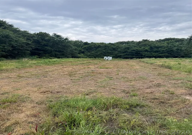 4th image of 239 Snipe, Lone Grove, OK 73443 | MLS# 2624553