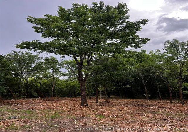 Photo 3 of Land for sale at N 51st Street, Sand Springs, OK 74063 | MLS# 2626473 | Listing updated on 2026-08-28
