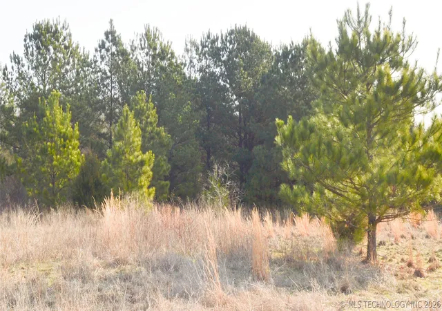 12th image of 01 Nw 4th St, Antlers, OK 74523 | MLS# 2626677