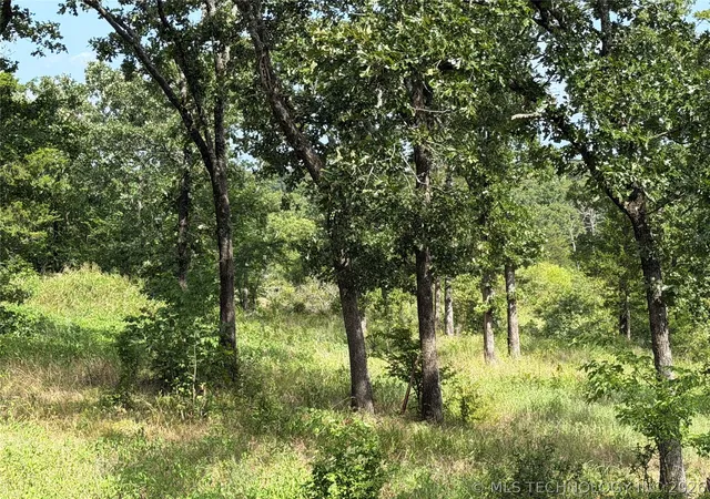Photo 1 of Land for sale at Double Springs Rd, Mc Alester, OK 74501 | MLS# 2625681 | Listing updated on 2026-08-20