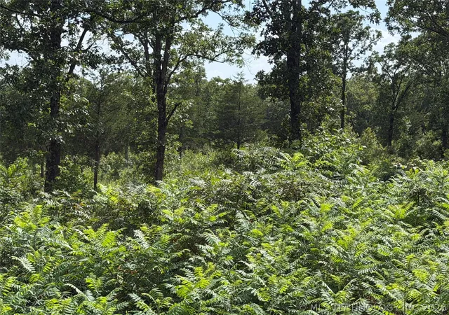 Photo 2 of Land for sale at Double Springs Rd, Mc Alester, OK 74501 | MLS# 2625681 | Listing updated on 2026-08-20