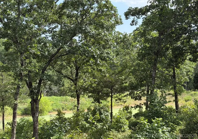 Photo 3 of Land for sale at Double Springs Rd, Mc Alester, OK 74501 | MLS# 2625681 | Listing updated on 2026-08-20