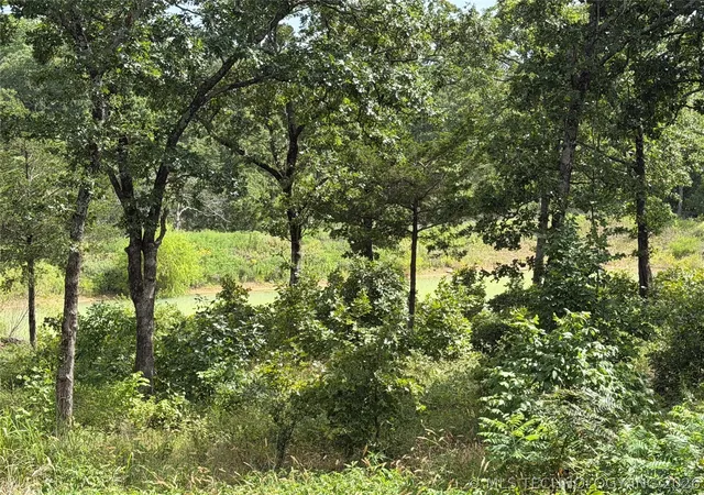 Photo 3 of Land for sale at Double Springs Rd, Mc Alester, OK 74501 | MLS# 2625681 | Listing updated on 2026-08-20