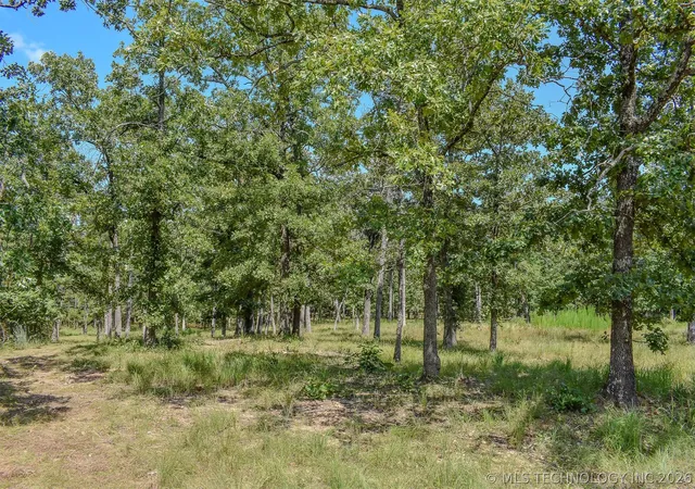 Homes for sale in Sawyer, OK | 0 Lakeside Ridge, Sawyer, OK 74743 | MLS# 2625602