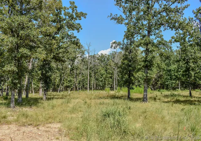 Homes for sale in Sawyer, OK | 0 Lakeside Ridge, Sawyer, OK 74743 | MLS# 2625602