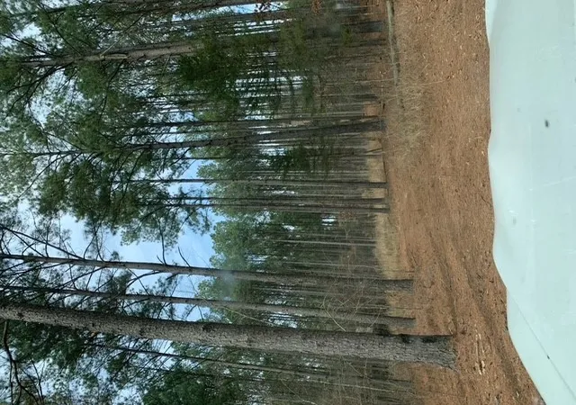 Photo 1 of Land for sale at 18 Whispering Pine, Broken Bow, OK 74728 | MLS# 2626714 | Listing updated on 2026-07-31