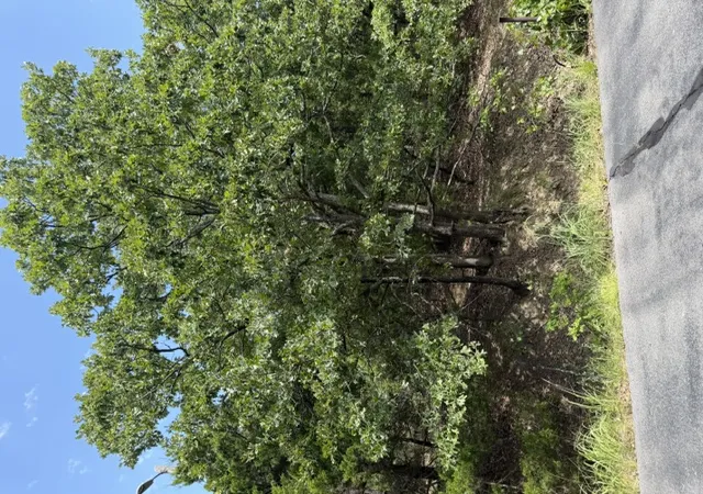 3rd image of 2291 W Crosswinds Cir, Cleveland, OK 74020 | MLS# 2626739