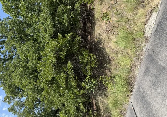 4th image of 2291 W Crosswinds Cir, Cleveland, OK 74020 | MLS# 2626739