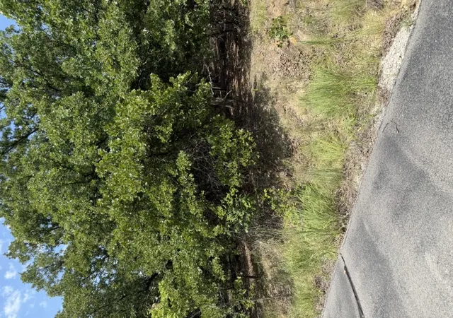 5th image of 2291 W Crosswinds Cir, Cleveland, OK 74020 | MLS# 2626739