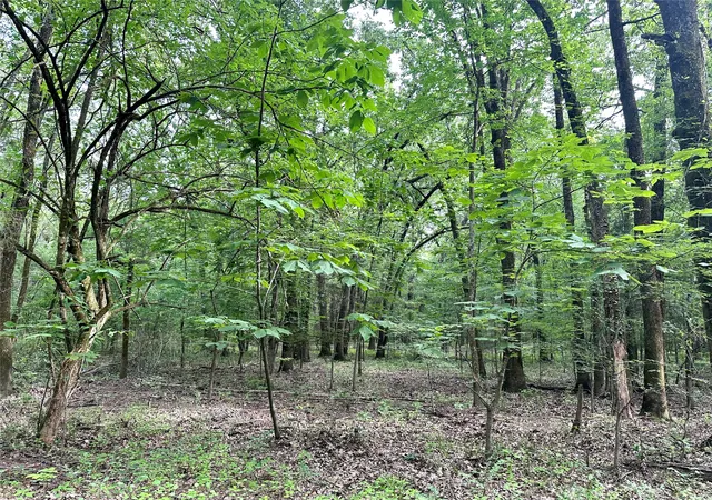 88th image of 623 Dozer Mountain Rd, Eufaula, OK 74432 | MLS# 2626818