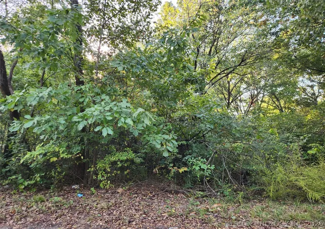 1st image of Lakeview Dr, Langley, OK 74350 | MLS# 2626877
