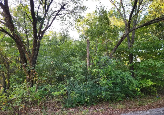 2nd image of Lakeview Dr, Langley, OK 74350 | MLS# 2626877