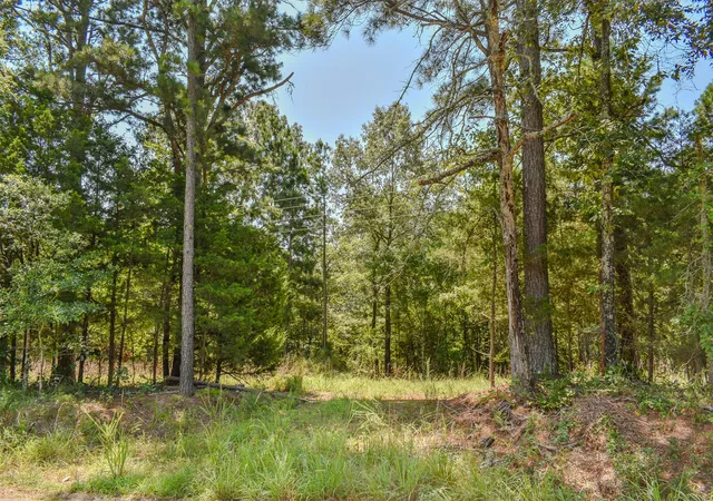 2nd image of 3 N Hall Rd, Antlers, OK 74523 | MLS# 2627368