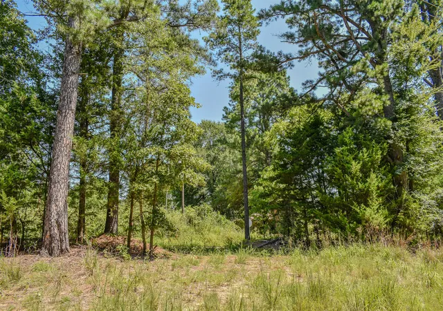 3rd image of 3 N Hall Rd, Antlers, OK 74523 | MLS# 2627368