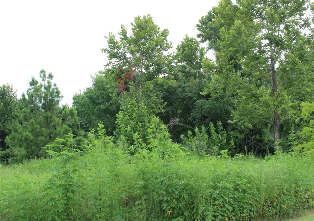3rd image of 507 Overmon, Eufaula, OK 74432 | MLS# 2627219