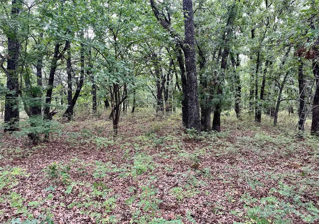 18th image of Maverick Rd, Wilson, OK 73463 | MLS# 2627423