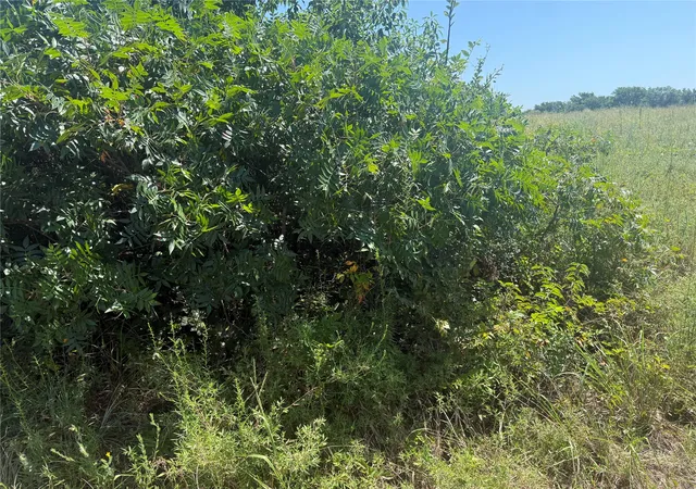 Photo 3 of Land for sale at S 94th Street W, Wainwright, OK 74468 | MLS# 2627632 | Listing updated on 2026-08-20