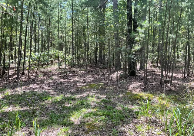 Land for sale at 181201 Flt Top Rd, Moyers, OK 74557 | MLS# 2627319