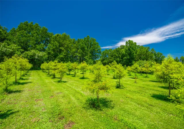 Photo 3 of Land for sale at Highway 37, Garvin, OK 74736 | MLS# 2627730 | Listing updated on 2026-07-29