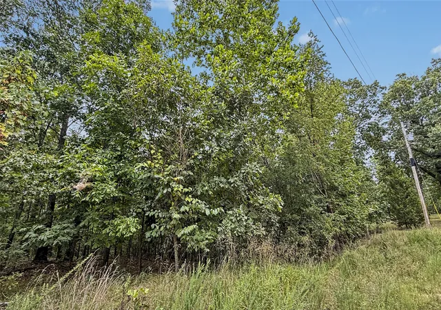 4th image of 28280 Lame Deer Ridge Rd, Proctor, OK 74457 | MLS# 2627374