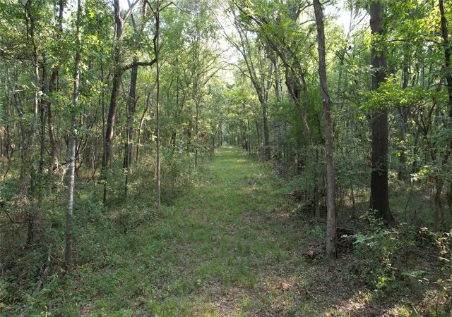 Photo 3 of Land for sale at 0007 E Highway 75, Atoka, OK 74525 | MLS# 2628046 | Listing updated on 2026-08-20