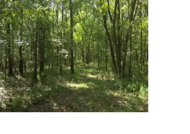 Photo 4 of Land for sale at 0007 E Highway 75, Atoka, OK 74525 | MLS# 2628046 | Listing updated on 2026-08-20