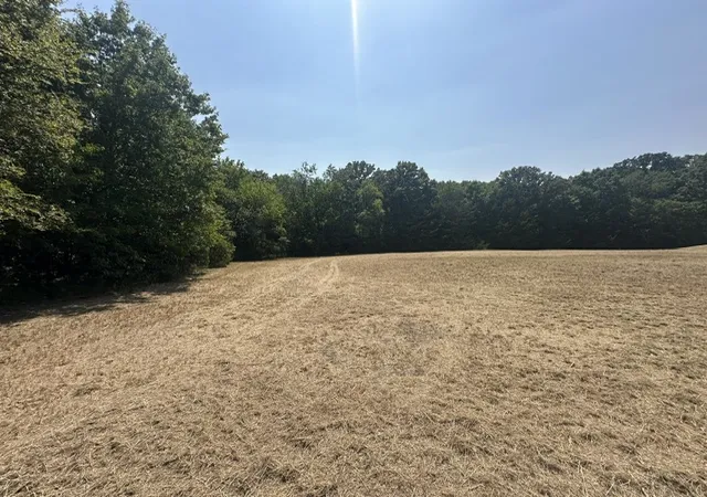 Photo 3 of Land for sale at 0000 E County Rd 1610, Stratford, OK 74872 | MLS# 2628254 | Listing updated on 2026-08-20