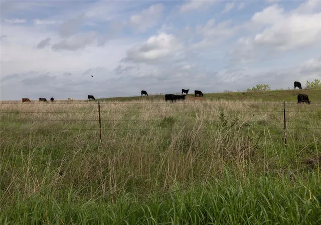 Photo 2 of Land for sale at 0041 E 4500 Road, Pawnee, OK 73061 | MLS# 2628279 | Listing updated on 2026-07-31