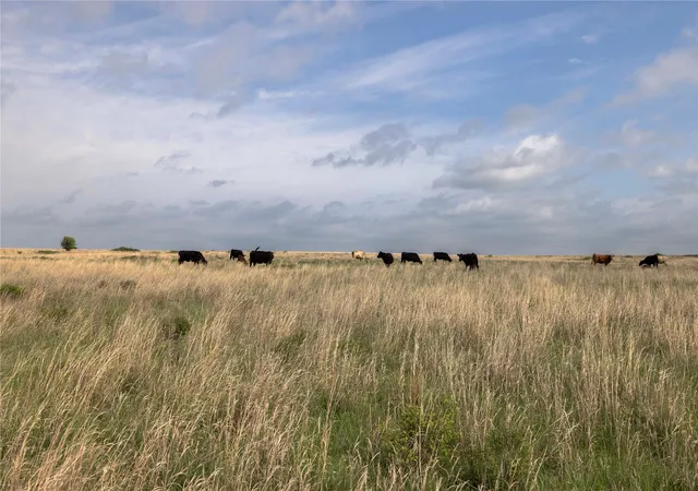Photo 3 of Land for sale at 0041 E 4500 Road, Pawnee, OK 73061 | MLS# 2628279 | Listing updated on 2026-07-31