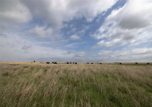 Photo 3 of Land for sale at 0041 E 4500 Road, Pawnee, OK 73061 | MLS# 2628279 | Listing updated on 2026-07-31