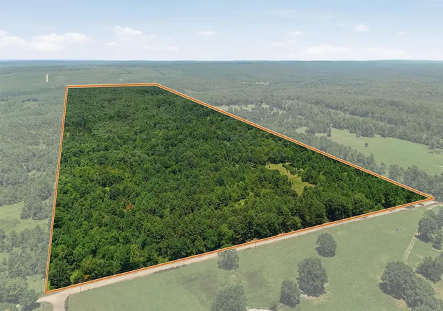 Photo 1 of Land for sale at 0001 E 1930 Road, Antlers, OK 74523 | MLS# 2628248 | Listing updated on 2026-07-31