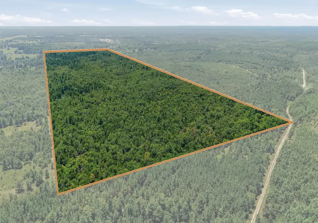 Photo 3 of Land for sale at 0001 E 1930 Road, Antlers, OK 74523 | MLS# 2628248 | Listing updated on 2026-07-31