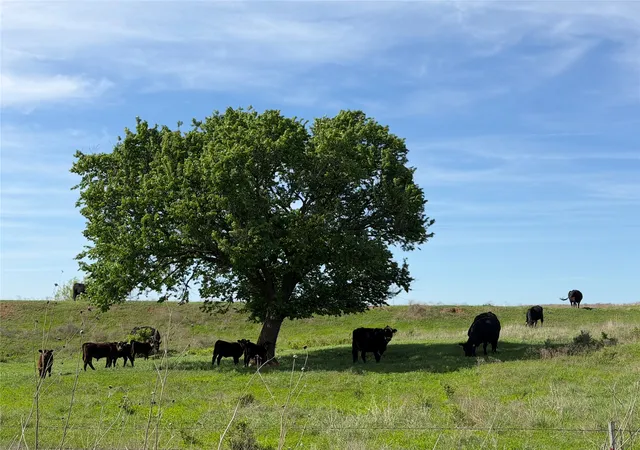 Photo 3 of Land for sale at 0042 E 4500 Road, Pawnee, OK 73061 | MLS# 2628325 | Listing updated on 2026-08-20