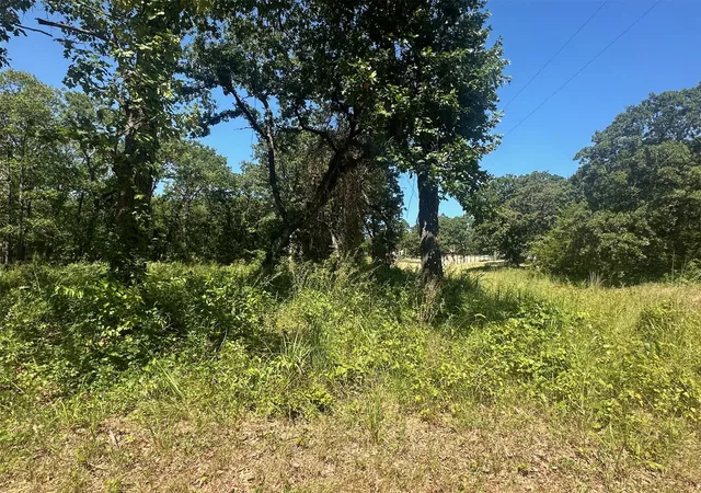 Photo 3 of Land for sale at 0 Driftwood Rd, Kingston, OK 73439 | MLS# 2628378 | Listing updated on 2026-09-20