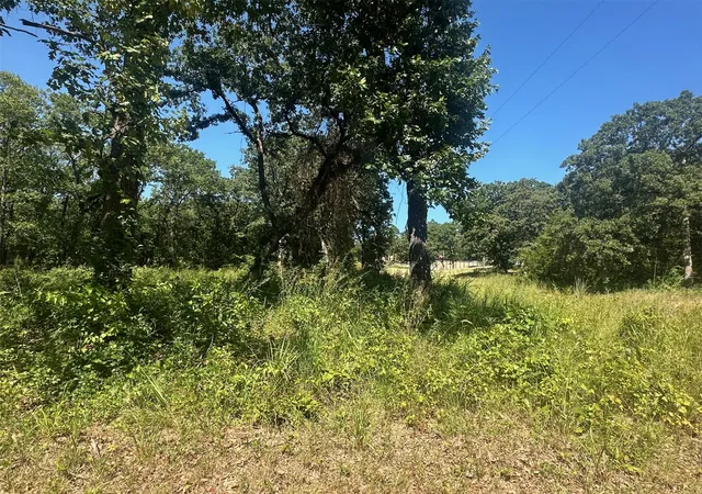 Photo 4 of Land for sale at 0 Driftwood Rd, Kingston, OK 73439 | MLS# 2628378 | Listing updated on 2026-09-20