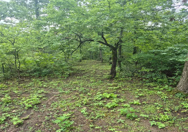 Photo 3 of Land for sale at S 4535 Road, Vian, OK 74962 | MLS# 2626587 | Listing updated on 2026-08-20