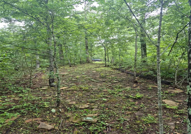 Photo 4 of Land for sale at S 4535 Road, Vian, OK 74962 | MLS# 2626587 | Listing updated on 2026-08-20