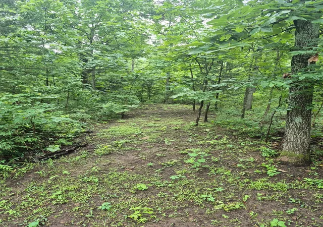 Photo 5 of Land for sale at S 4535 Road, Vian, OK 74962 | MLS# 2626587 | Listing updated on 2026-08-20