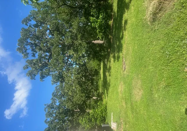 21st image of 5701 S 33rd Westavenue, Tulsa, OK 74107 | MLS# 2627756