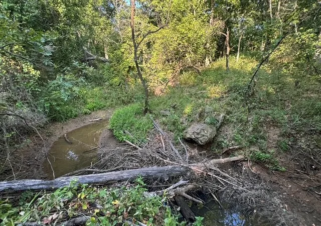Photo 4 of Land for sale at 0 E 750 Road, Cushing, OK 74023 | MLS# 2628668 | Listing updated on 2026-08-20
