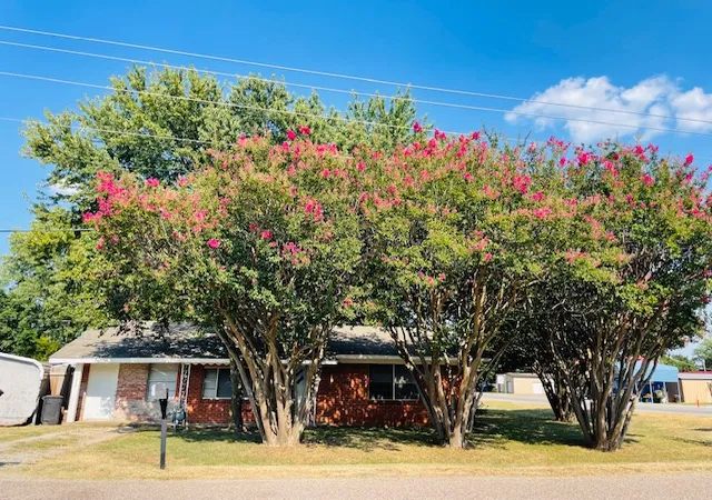 Photo 3 of Single family home for sale at 102 N Collins St, Colbert, OK 74733 | MLS# 2628872 | Listing updated on 2026-08-20
